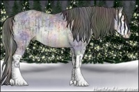 Horse Color:Nacre Brown Chinchilla Ice Rabicano and Nacre Brown Chinchilla Ice Splash Rabicano