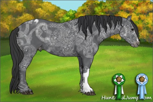 Horse Color:Black Ice Varnish Rabicano