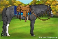 Horse Color:Black Appaloosa Rabicano 