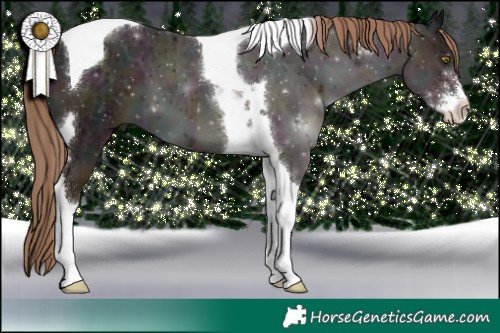 Horse Color:Midnight Liver Chestnut Ice Sabino Tobiano 