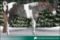 Horse Color:Midnight Liver Chestnut Ice Sabino Tobiano