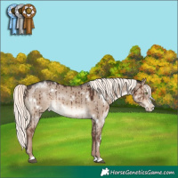 Horse Color:White Spotted Liver Red Dun Mushroom Splash Rabicano Brindle 