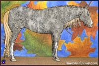 Horse Color:Buckskin Ice Roan Pearl Dun and Buckskin Ice Roan Pearl Dun