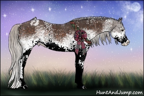 Horse Color:White Spotted Silver Brown Appaloosa Rabicano 