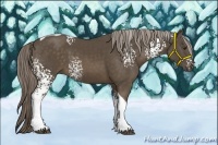 Horse Color:White Spotted Chocolate Palomino Tobiano 