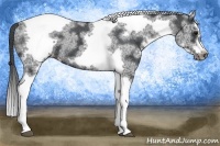 Horse Color:White Spotted Black Splash Tobiano Frame Appaloosa