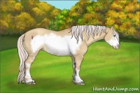 Horse Color:Silver Classic Champagne Dun Sabino Frame Rabicano