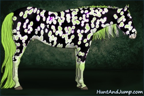 Horse Color:Watercolor Liver Chestnut Ice Near Leopard 