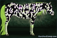 Horse Color:Watercolor Liver Chestnut Ice Appaloosa