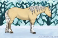 Horse Color:Silver Buckskin Dun Tobiano 