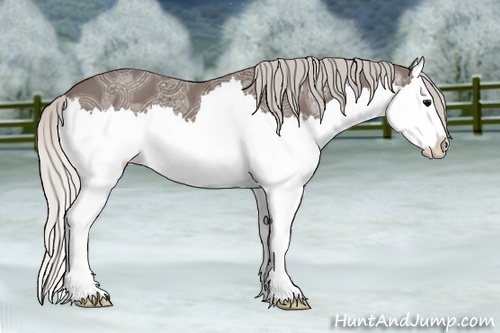 Horse Color:Silver Black Ice Splash 