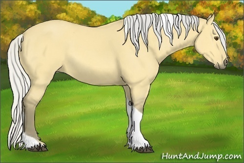 Horse Color:Silver Buckskin Dun Tobiano