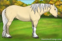 Horse Color:Silver Buckskin Dun Tobiano 