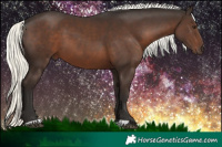 Horse Color:Liver Chestnut Mushroom 