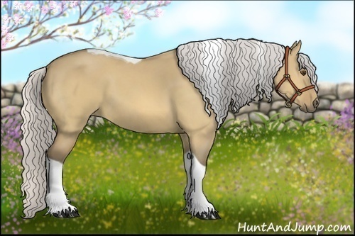 Horse Color:Silver Buckskin Dun Tobiano 