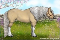 Horse Color:Silver Buckskin Dun Tobiano 