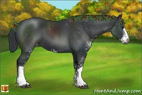 Horse Color:Black Sabino Appaloosa 