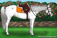 Horse Color:White Spotted Black Splash Tobiano Frame Appaloosa 