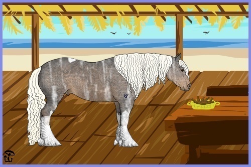 Horse Color:Liver Chestnut Ice Tobiano 