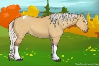 Horse Color:Silver Buckskin Dun Tobiano