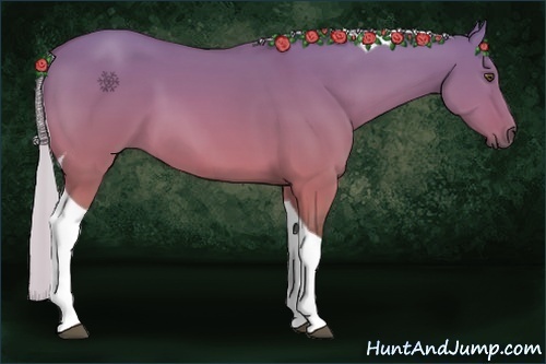 Horse Color:Silver Buckskin Dun Tobiano 