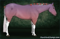 Horse Color:Silver Buckskin Dun Tobiano 