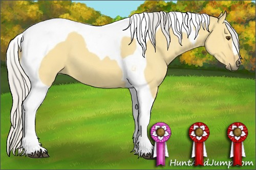 Horse Color:Silver Buckskin Dun Tobiano 