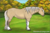 Horse Color:Silver Buckskin Dun Tobiano