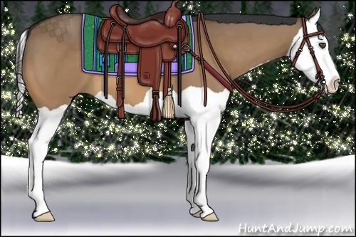 Horse Color:Bay Dun Splash 
