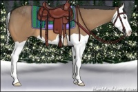 Horse Color:Bay Dun Splash 