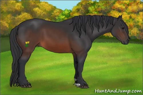 Horse Color:Brown 