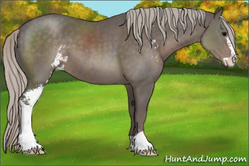 Horse Color:Silver Black Sabino 