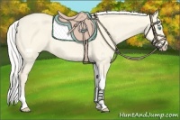 Horse Color:Silver Perlino Dun Tobiano 