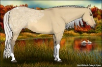 Horse Color:Silver Buckskin Ice Dun Tobiano 
