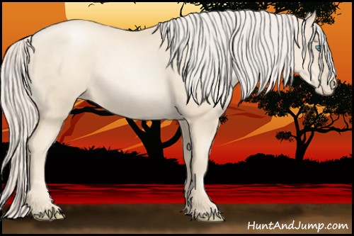 Horse Color:Gold Cream Champagne Pearl 