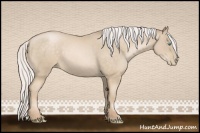 Horse Color:Silver Buckskin Pearl