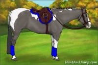 Horse Color:Grullo Splash Tobiano