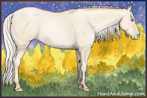 Horse Color:Silver Amber Cream Champagne Pearl 