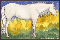Horse Color:Silver Amber Cream Champagne Pearl 