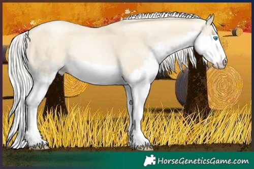 Horse Color:Silver Sable Cream Champagne Pearl Splash 