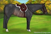 Horse Color:Brown Rabicano