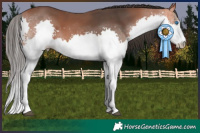 Horse Color:Bay Splash 