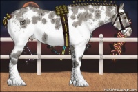 Horse Color:White Spotted Silver Grullo Ice Splash 