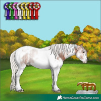 Horse Color:White Spotted Silver Bay Tobiano