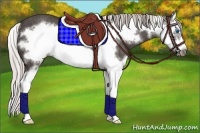 Horse Color:Silver Black Sabino Splash Frame Rabicano