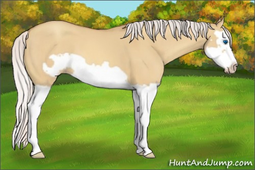 Horse Color:Silver Sable Champagne Dun Splash Frame 