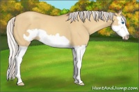 Horse Color:Silver Sable Champagne Dun Splash Frame 