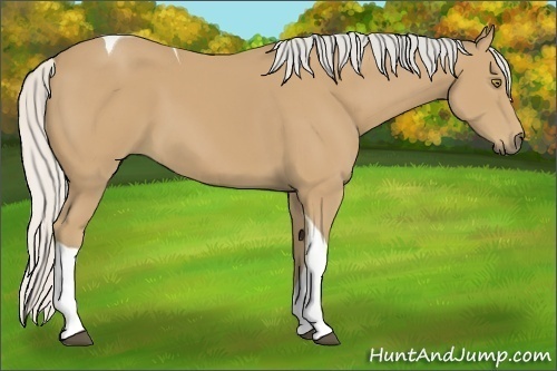 Horse Color:Silver Buckskin Tobiano 