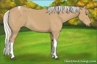 Horse Color:Silver Buckskin Tobiano 