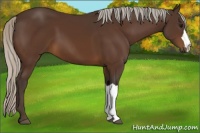 Horse Color:Silver Brown 